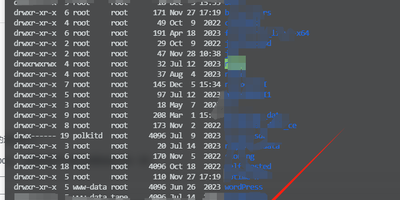 Docker使用WordPress无法上传文件，无权限解决办法